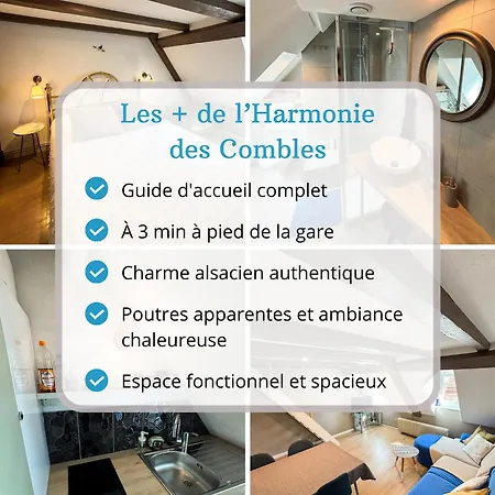 L'harmonie Des Combles - Proche Gare - Petite France - Commerces à Proximité Apartamento