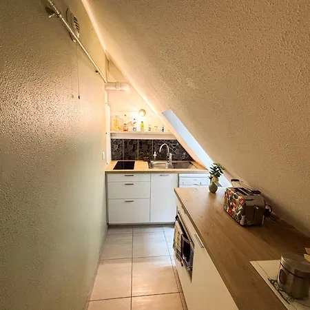 L'harmonie Des Combles - Proche Gare - Petite France - Commerces à Proximité * Estrasburgo