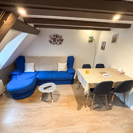 L'harmonie Des Combles - Proche Gare - Petite France - Commerces A Proximite * Strasbourg