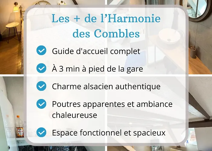 L'harmonie Des Combles - Proche Gare - Petite France - Commerces A Proximite Lägenhet