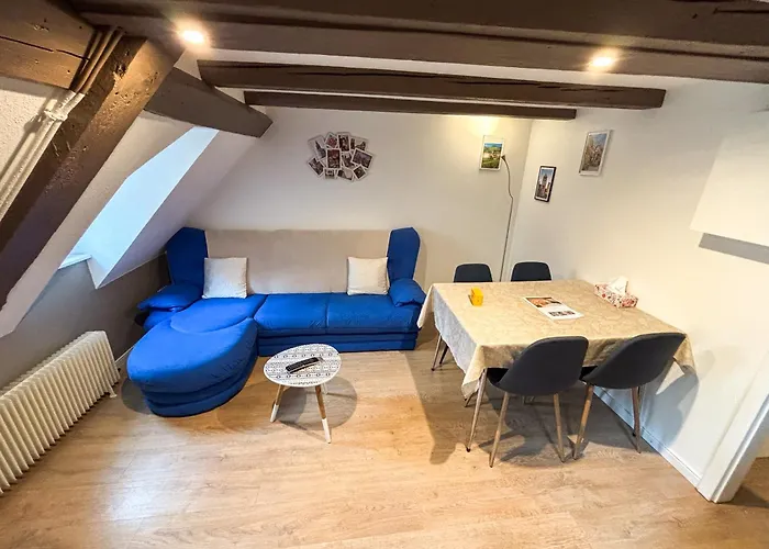 L'harmonie Des Combles - Proche Gare - Petite France - Commerces A Proximite * Strasbourg